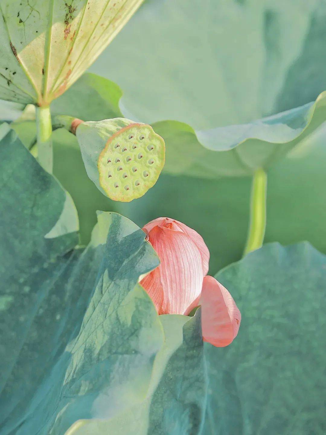 水是什么物品做的 d385edad1f2045e5baa00af57ee14c99.jpeg