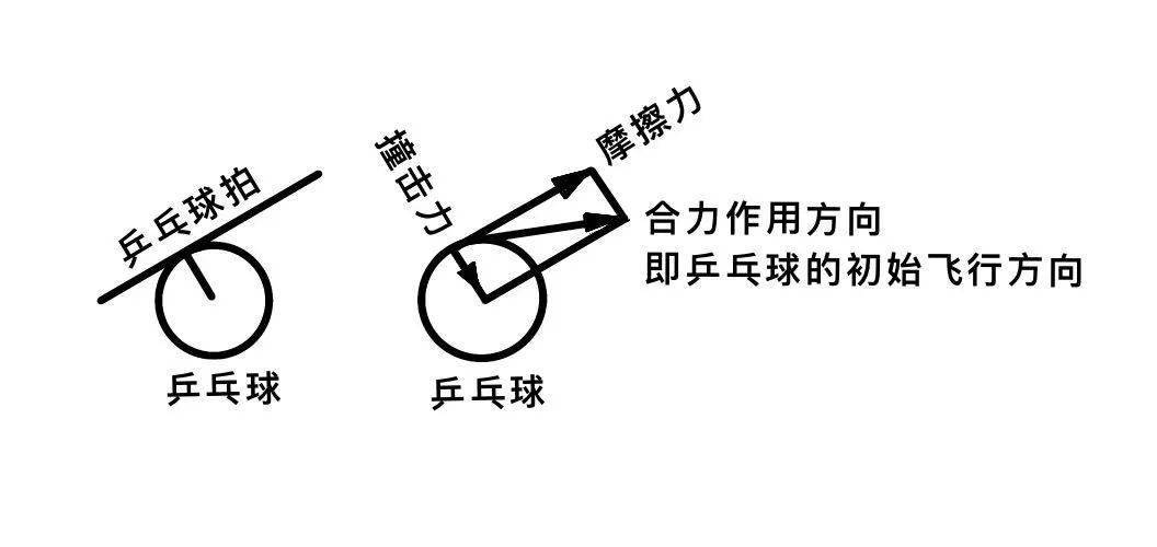 比肩马龙的弧圈球理论水平看完就懂了科学小馆儿