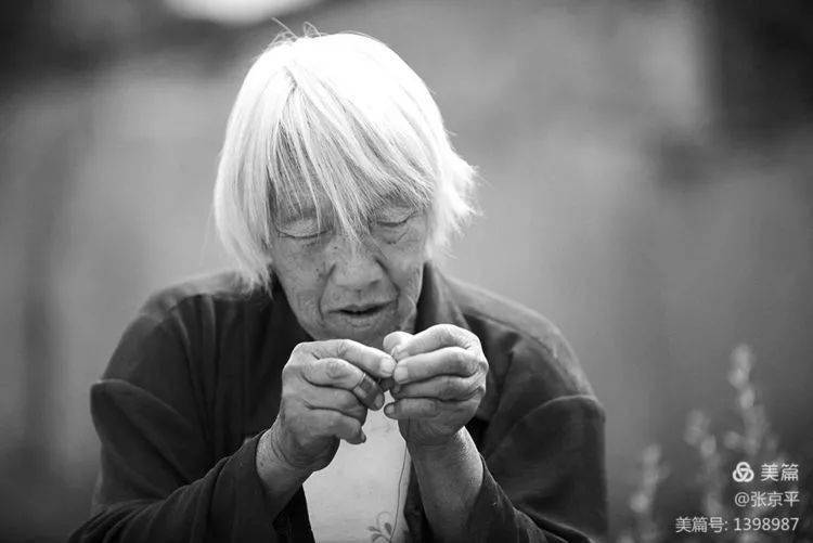 张京平羊司令和他的宝贝羊儿