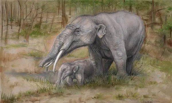 真实存在过的上古异兽外表最奇特的五种大象