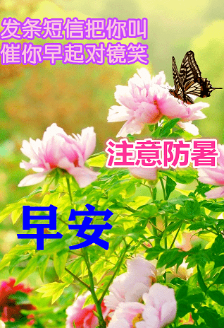 最漂亮早上好动态表情图片大全,早晨好动图美图大全_祝福