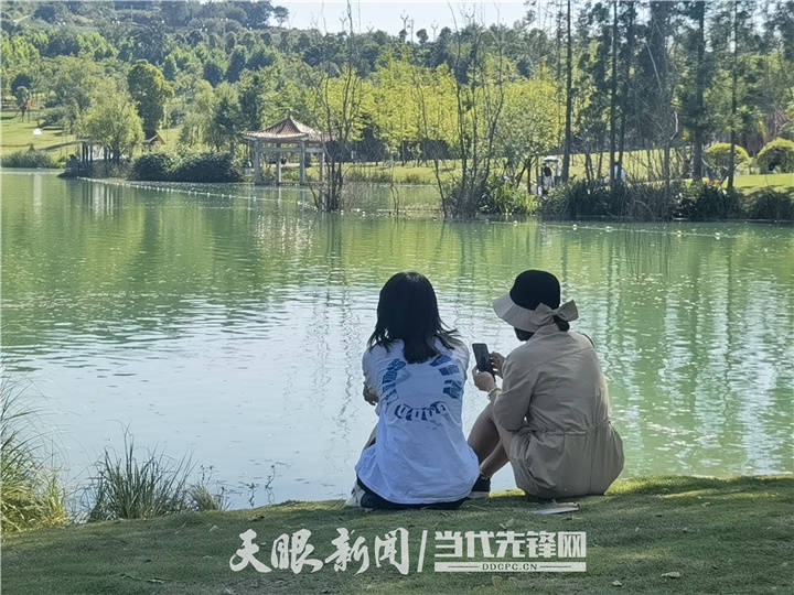 避暑度假到贵州|毕节金海湖湿地公园:夏日好风光 泛舟好清凉