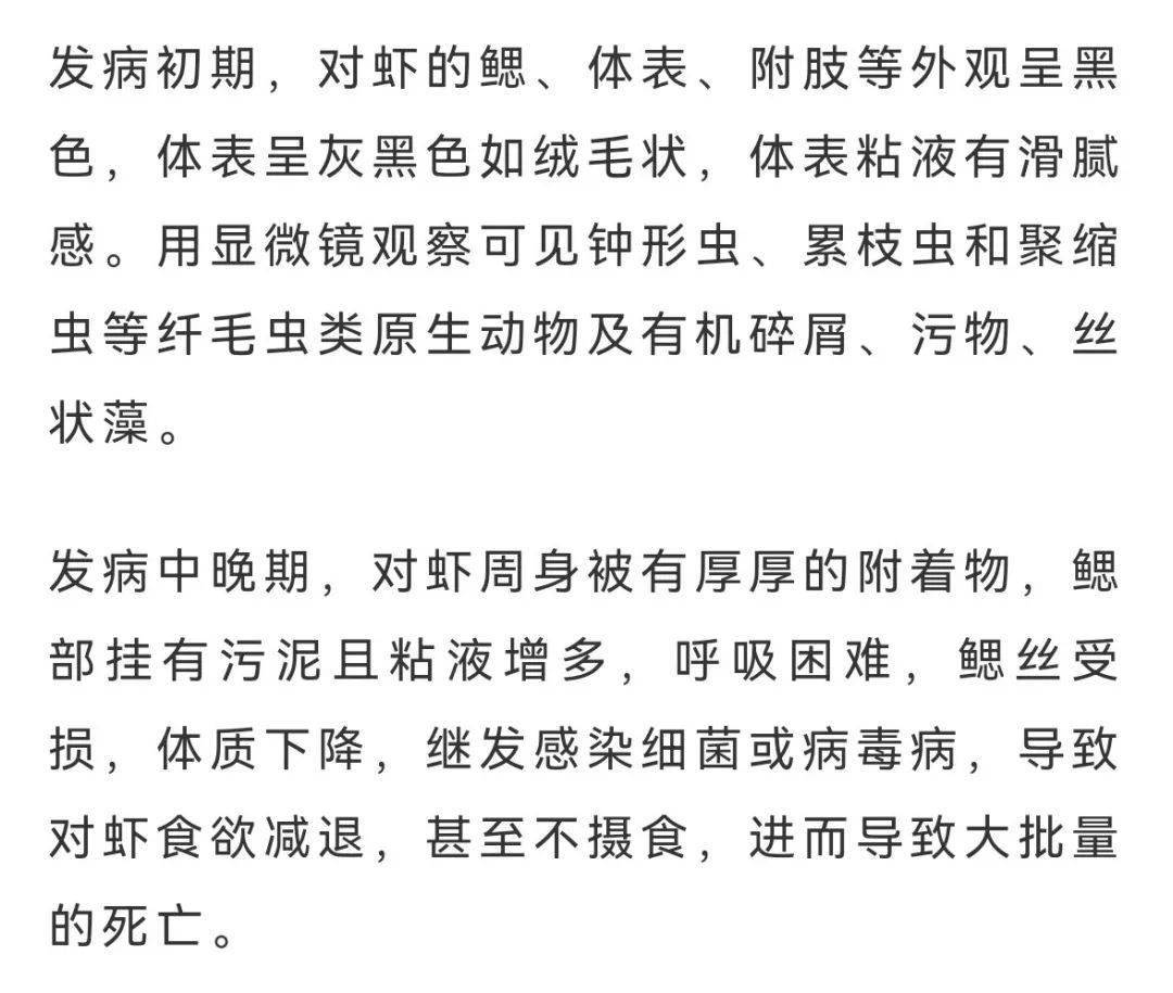 纖毛蟲病爆發的條件和主要症狀建議養殖戶這兩步處理