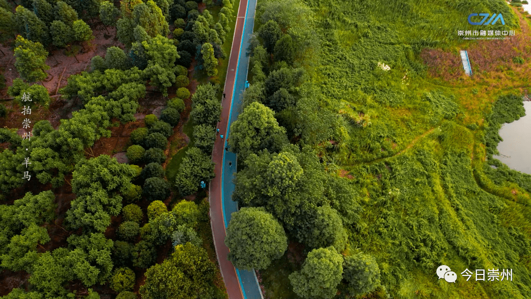 航拍崇州湿地羊马水美新城