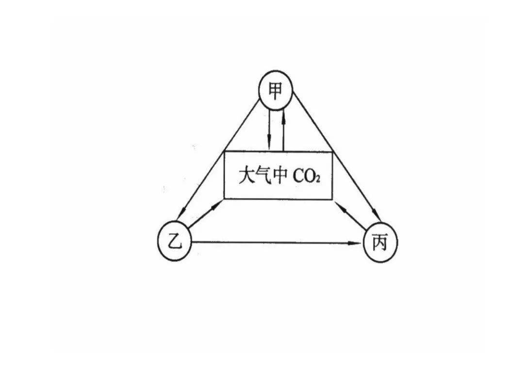开学必备八年级生物重点图示解析快收藏