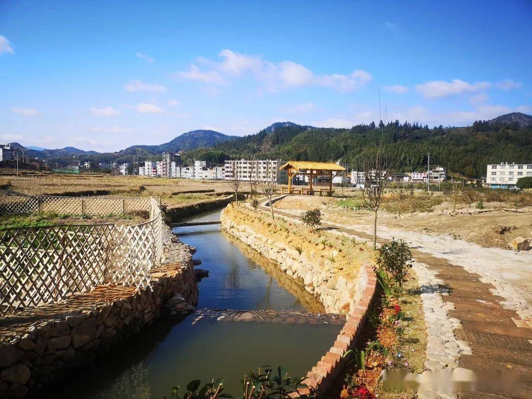 文明实践福建永泰文明实践润民心樟城大地沐新风