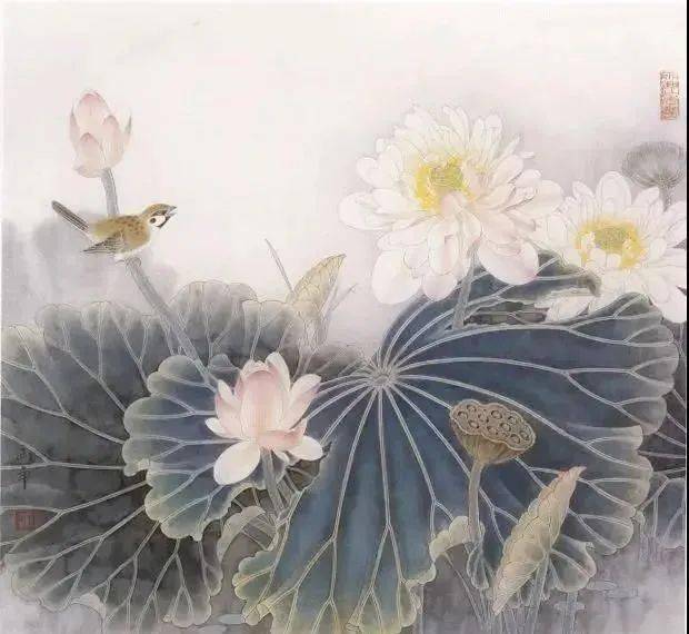 图文教程 | 工笔荷花《贵妃出浴》画法图解