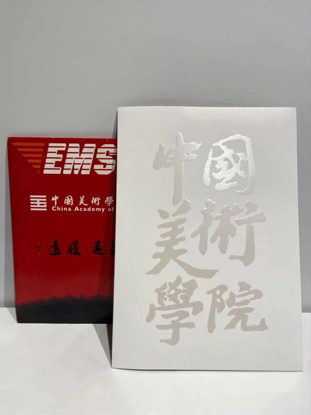 她收到了顶尖艺术学府——中国美术学院的录取通知书.