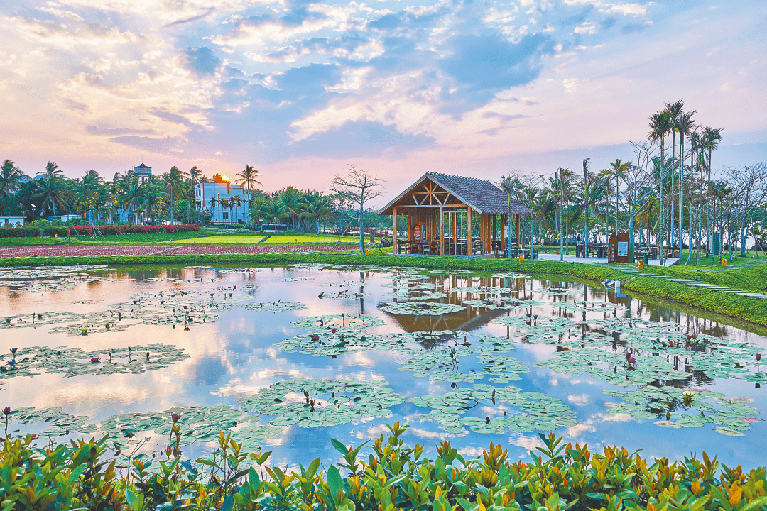 万宁兴隆华侨农场57队上榜!