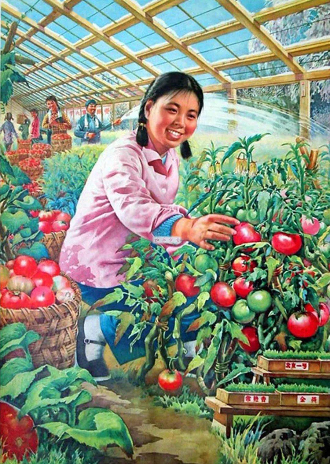 1,1975年出版的《红色园地》年画,作者是白逸如,在一处小学校内,孩子