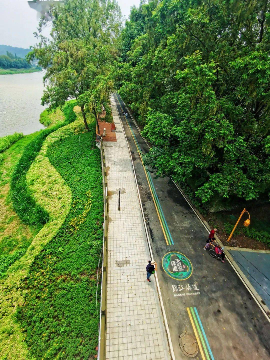 绿道科普锦江绿道的终点长啥样看这里