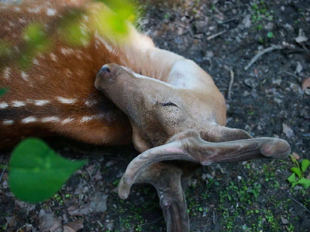 上海影楼排行_获奖名单新年第一缕阳光摄影大赛获奖名单来啦!