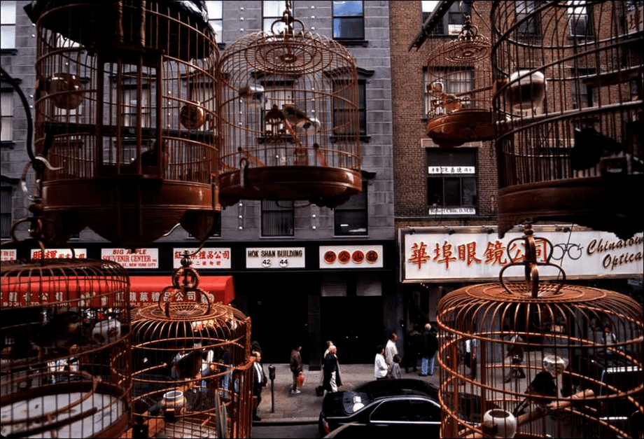 张乾琦摄影作品分享