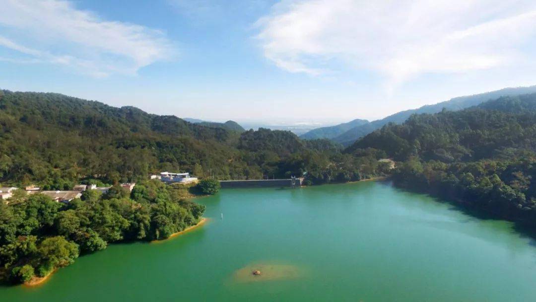 大南山林场占地近万亩,是三水面积最大的林场,也是生态保持得最好的