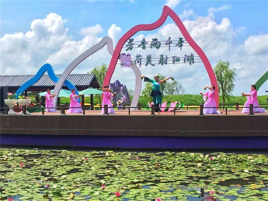 通知!宝应荷藕节最新消息