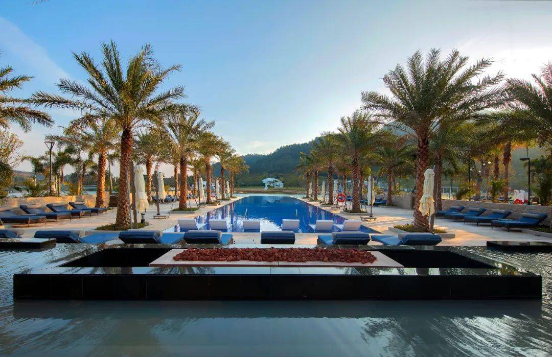 野奢结合复返自然74河源春沐源小镇棕榈树酒店丨森磊国际设计