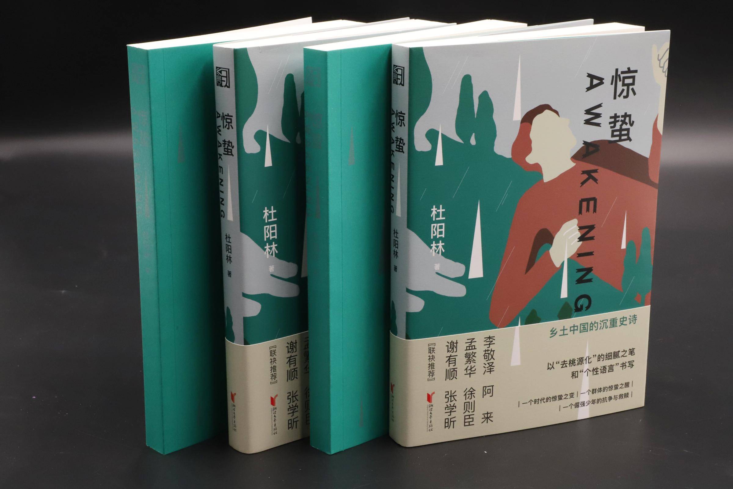 文学|乡村少年的苦难经历与惊蛰之醒：杜阳林新作《惊蛰》出版