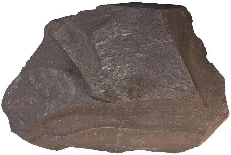 皮肤保护层有多厚 b89a6e7bcbf5492b892b8d8ea3655995.jpeg