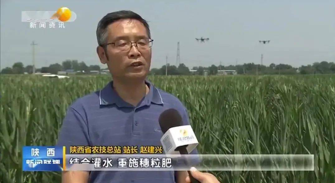 天气|【农技专家提醒】应对高温天气,夏玉米浇水施肥正当时