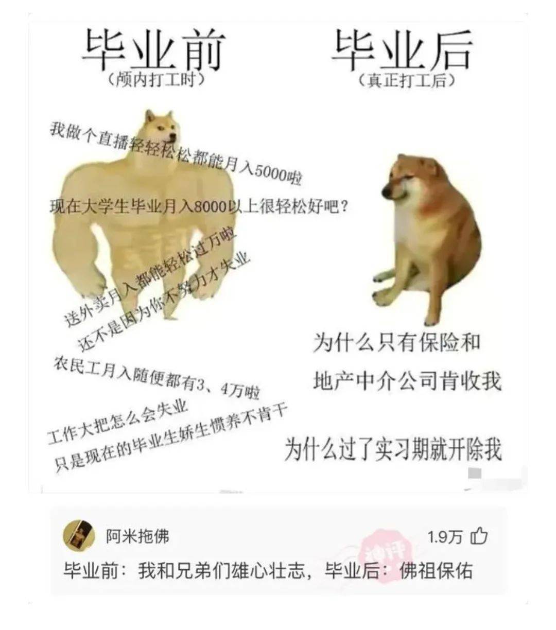 f7a59e41f1c04da4ae8910c5032a62d3.jpeg