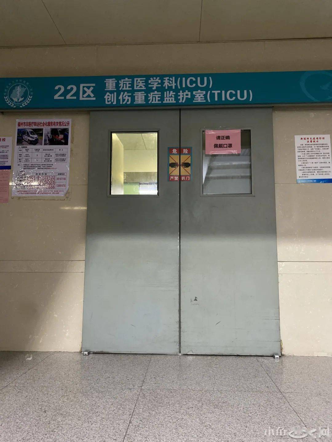进行|“今早路过厦门这里，水上一片白花花的全是死鱼，好吓人，还看到有人...”