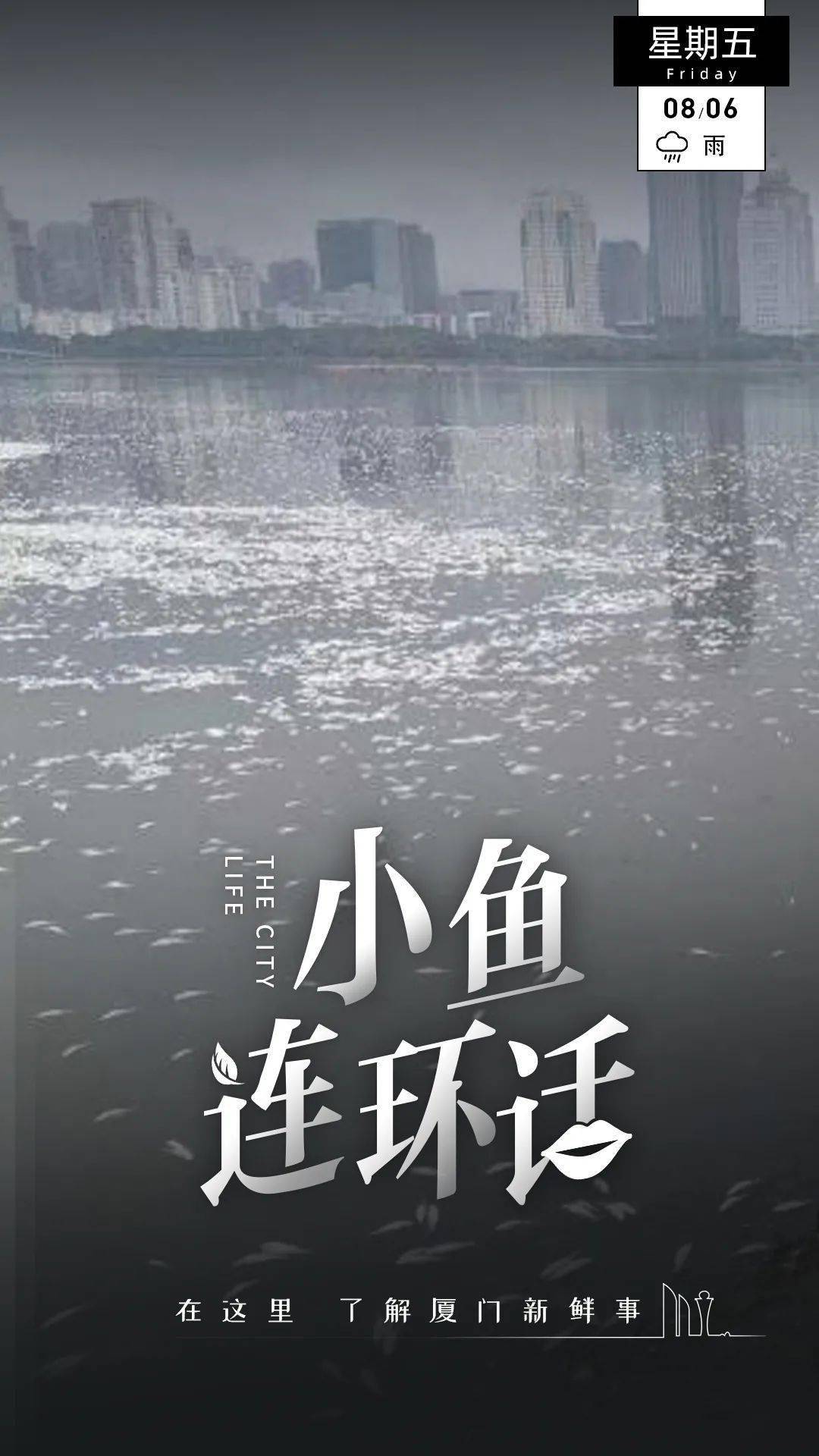 进行|“今早路过厦门这里，水上一片白花花的全是死鱼，好吓人，还看到有人...”