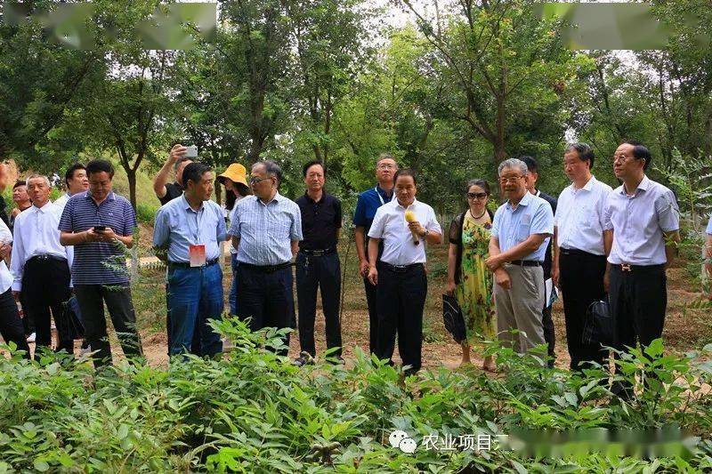 局長彭有冬,科技司司長郝育軍,巡視員歷建祝,原陝西省委副書記範肖梅