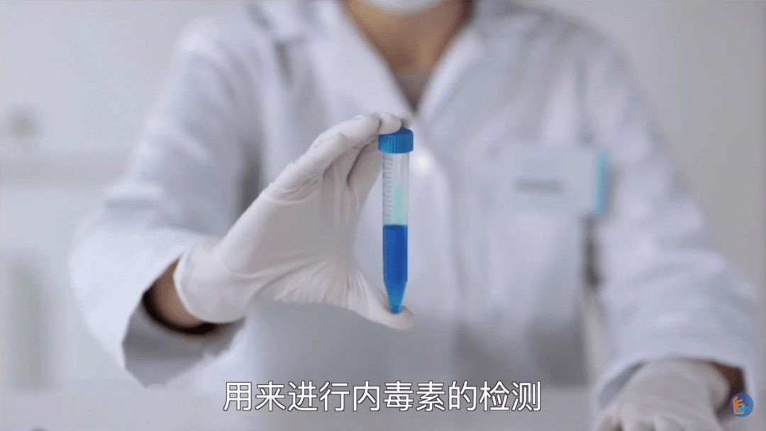 就这样,jack levin参照这个原理制备出了鲎试剂,用来进行内毒素的检测