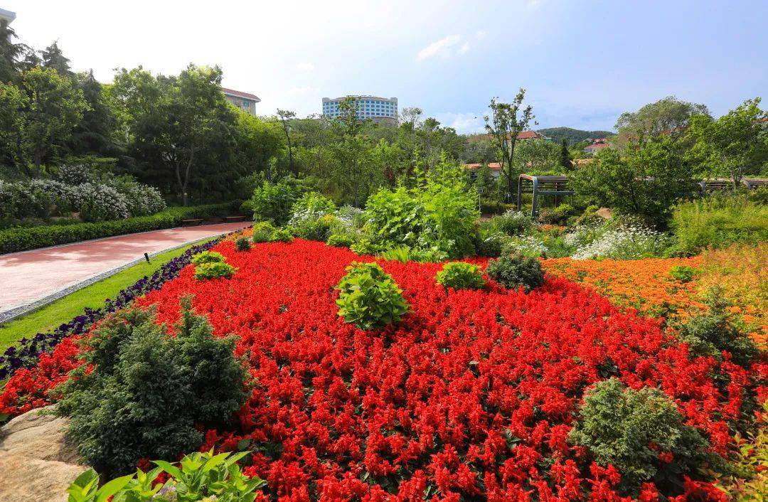 威海園林│東山賓館小遊園美景分享!_pexels