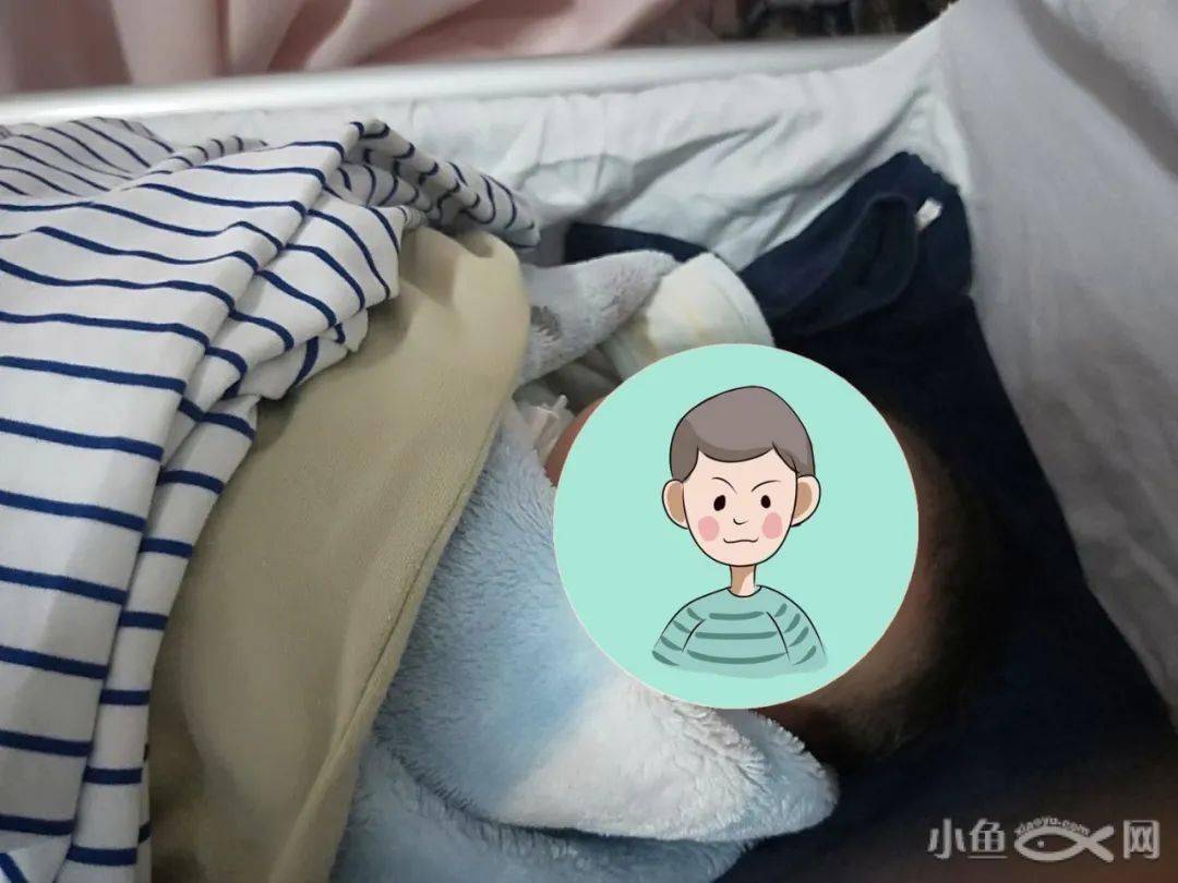 进行|“今早路过厦门这里，水上一片白花花的全是死鱼，好吓人，还看到有人...”