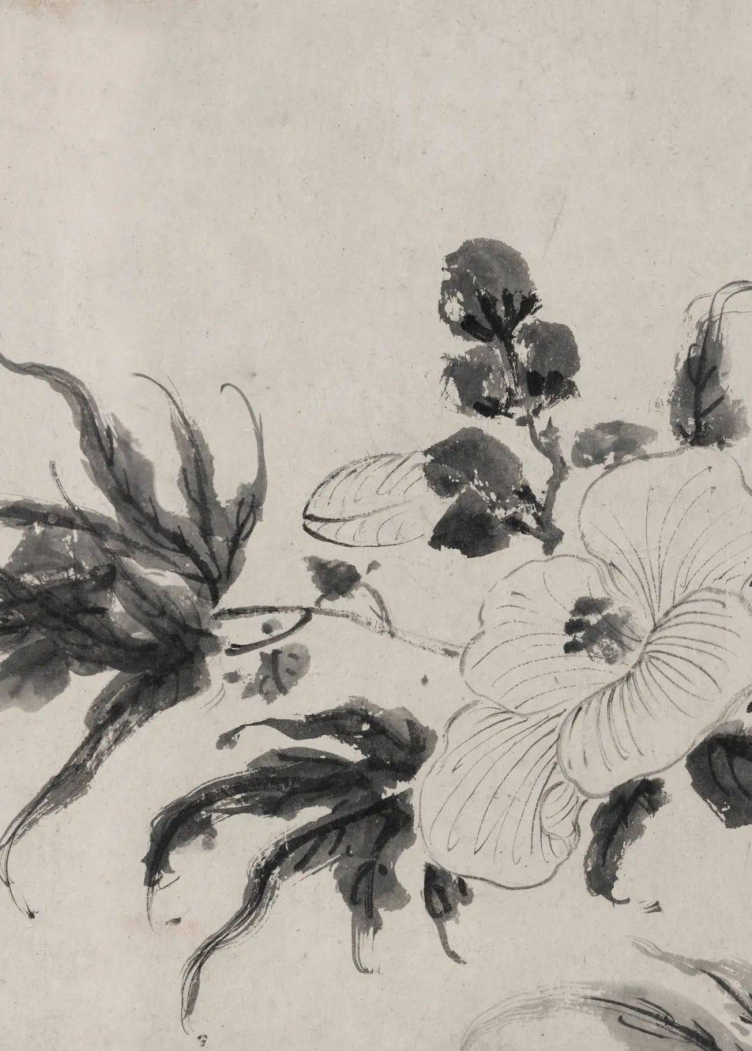 徐渭的墨花这才叫玩水墨