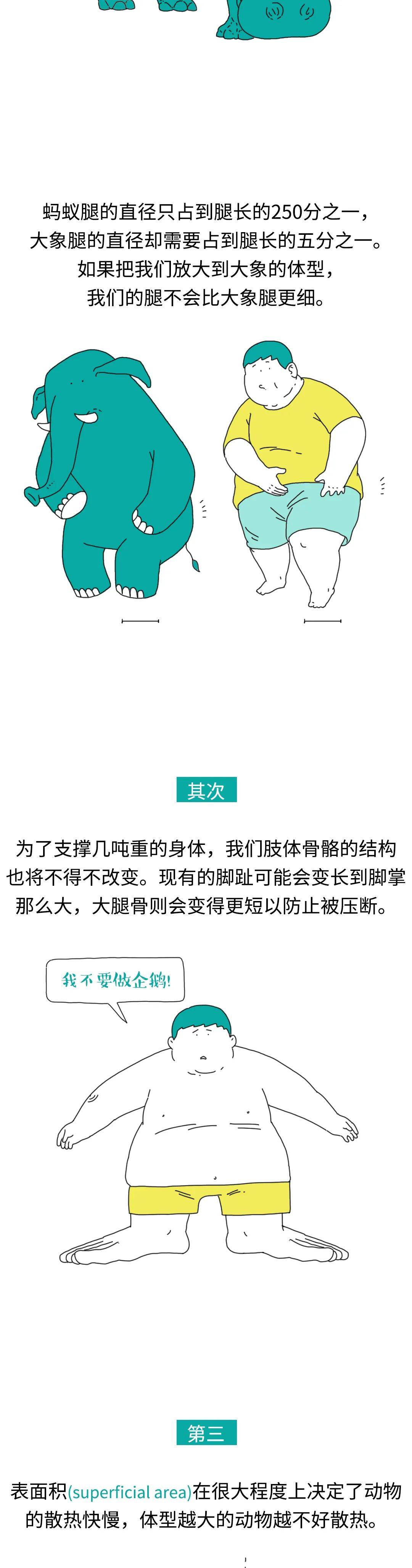 邢昕|哆啦A梦的缩小放大灯原来是个坑？