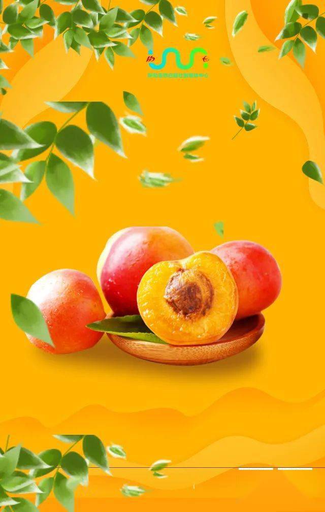 时节|来了!就是今天!