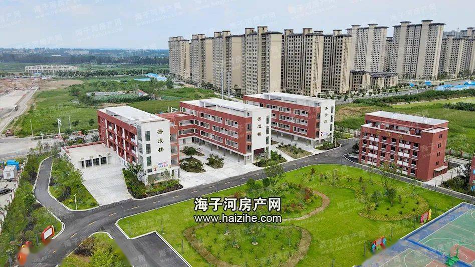 现场直击钟祥龙山实验学校开始报名啦附建设全过程