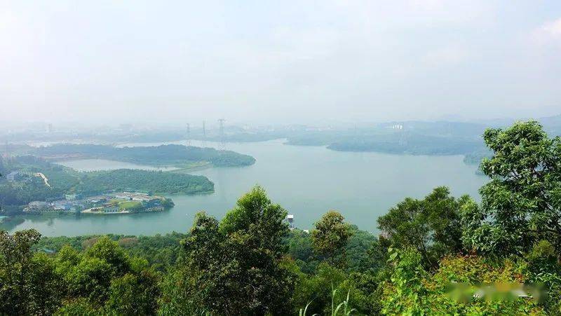 深圳立秋雨中大雁山鹅颈水库穿越本文内容空洞枯燥乏味千万别点进来