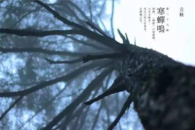 时节|来了!就是今天!