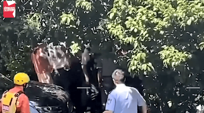 因为|22岁双胞胎兄弟争吵坠河哥哥遇难!父亲:因为早餐的事情拌嘴