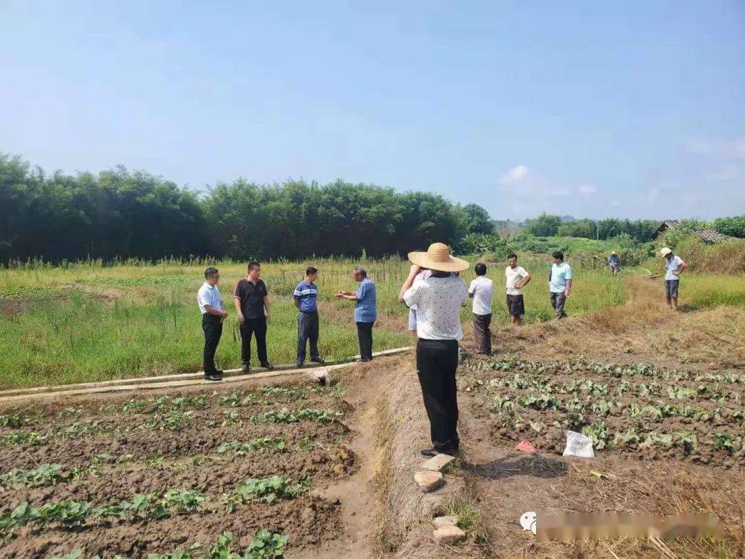 藤县新庆镇村民之间因农田灌溉用水起纠纷最终矛盾得化解