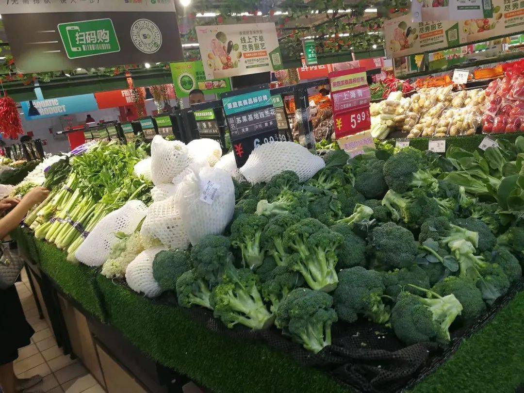 乡村振兴新征程第89期