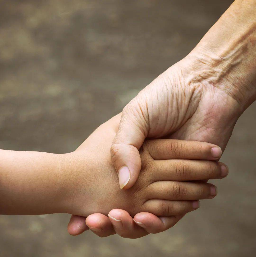 业主文刊 | 父亲的手