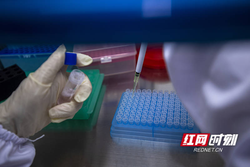 检测|疾控福尔摩斯｜就好像“在地球上找乒乓球”，长沙圣斗士核酸检测“超精密”