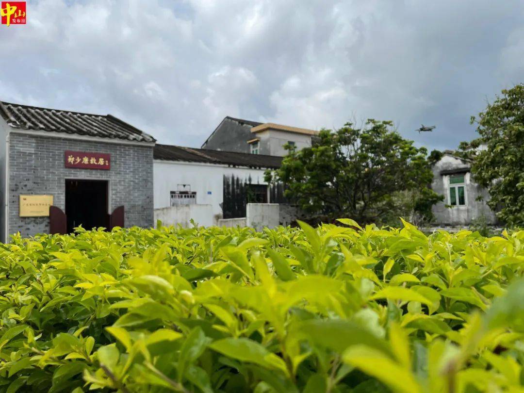 三乡这条村成了网红打卡点,有一段不平凡的历史!