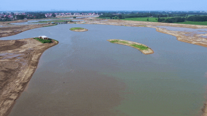 冀南新区滏阳河湿地图片