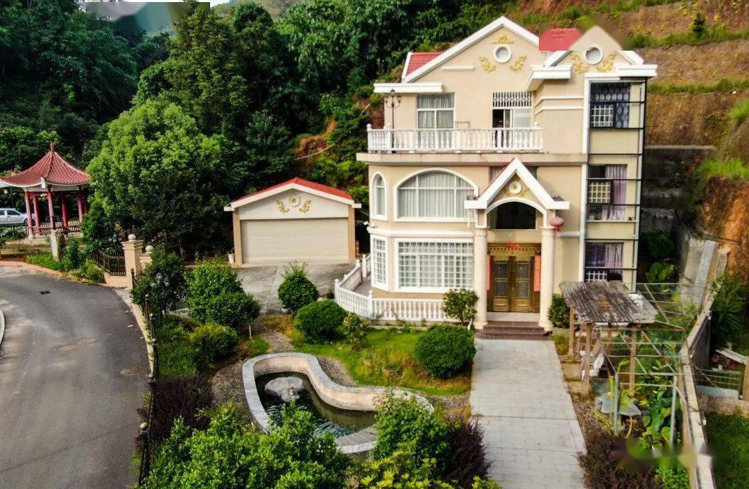 寻找美丽庭院走进华丰镇蔡金海李建明李福盛的美丽庭院