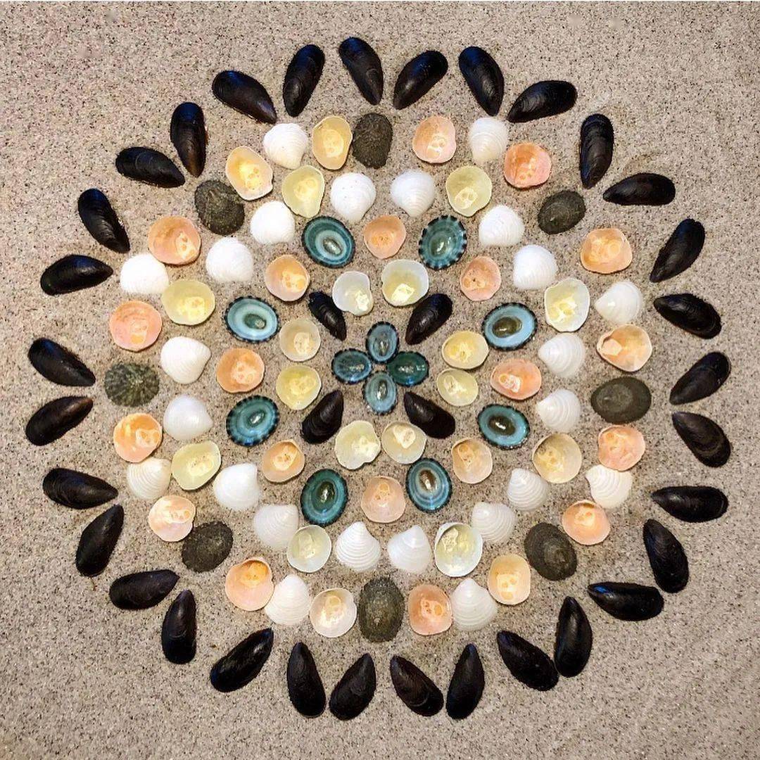 美女珠宝设计师疫情期间陪孩子玩耍拼贝壳,拼着拼着成了大神,太治愈了