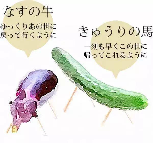 日本盂兰盆节茄子图片