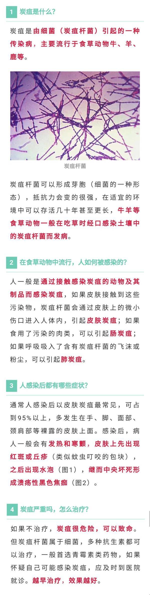 河北省承德市|一地报告1肺炭疽病例，曾接触牛羊！