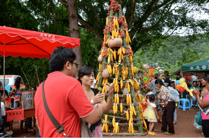 云南江城8月红彤彤三丫果火遍边陲小城