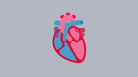 b3e56675d7a3468a8d9dd9a3a0cc3b42.gif