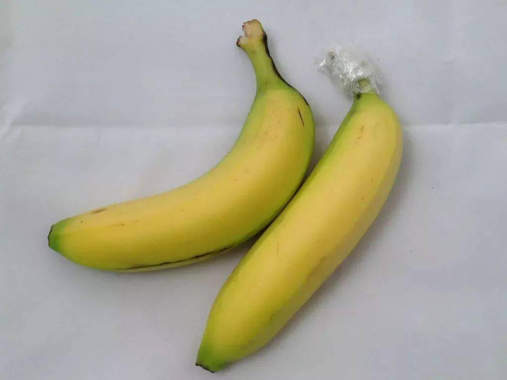 359deedb702e41b0b6a42e369c82f551.jpeg